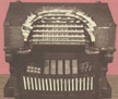 sheascot.jpg (6742 bytes)